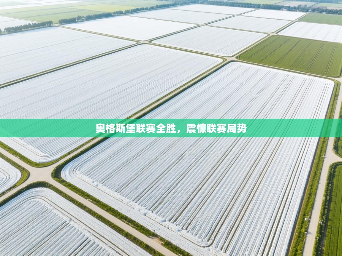 奥格斯堡联赛全胜，震惊联赛局势  第1张