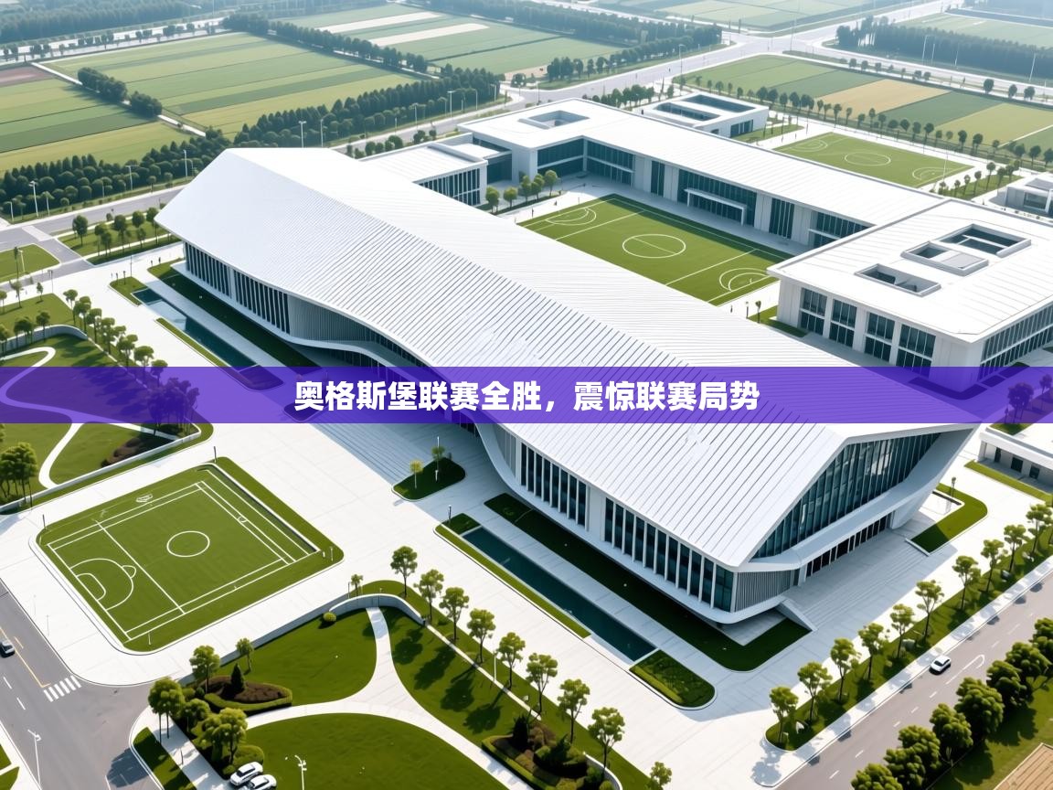 奥格斯堡联赛全胜，震惊联赛局势  第2张